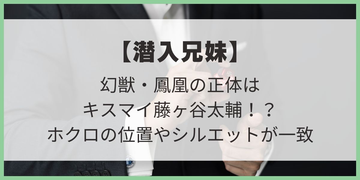 潜入兄妹　特殊詐欺特命捜査官　幻獣　5人の幹部　予想　藤ヶ谷太輔　キスマイ